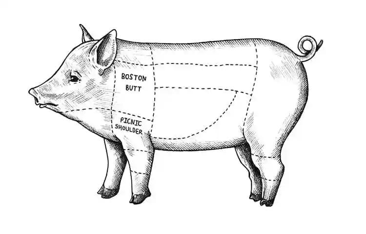 boston butt vs pork shoulder